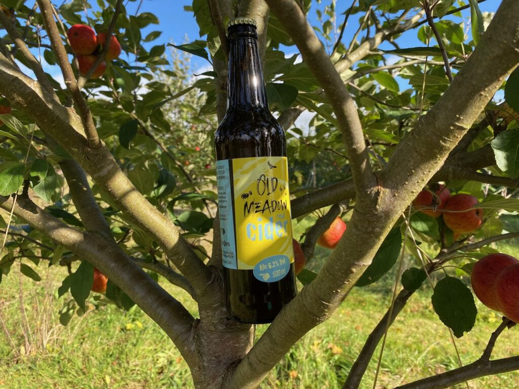 Foragers Old Meadow Cider bottle in tree