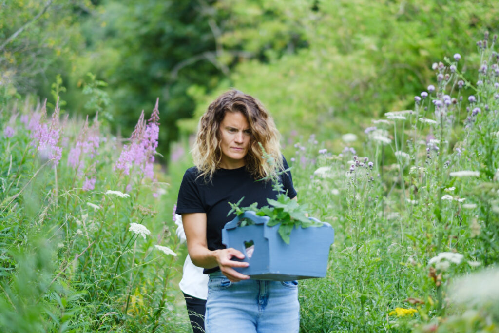 Nettle foraging