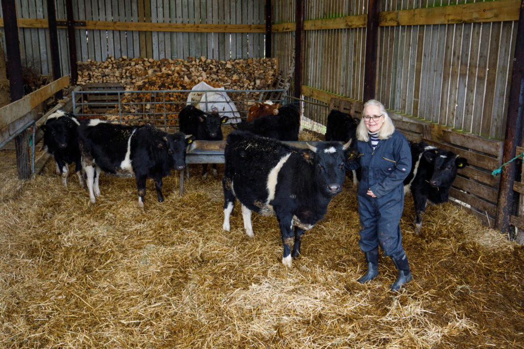 Kate with her herd